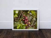 Load image into Gallery viewer, Kunywa Jasho Langu X Gray by Jake Green