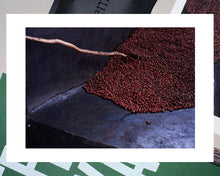 Load image into Gallery viewer, Coffee Kenya Collection - Book/Coffee/Print

